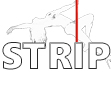 Strippers, Kissograms in Ireland, Stripping for Hen Party, Stags, Birthdays. Male and Female Stripper